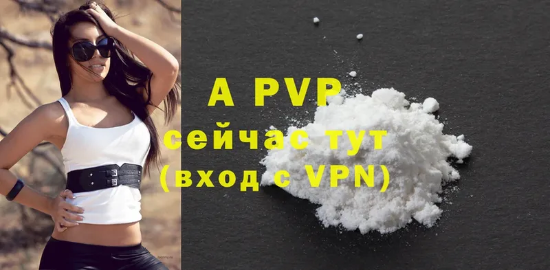 Alfa_PVP СК  Андреаполь 